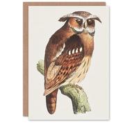 Artery8 Theo van Hoytema Art Card Eagle Owl Perched on a Branch