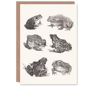 Artery8 Theo van Hoytema Art Card Six Frogs and Toads Pencil Drawing