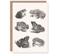 Artery8 Theo van Hoytema Art Card Six Frogs and Toads Pencil Drawing