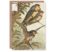 Artery8 Theo van Hoytema Art Card Three Swallows Urban Spring