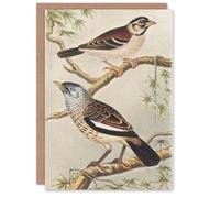Artery8 Theo van Hoytema Art Card Two Birds on Tree Branches
