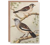 Artery8 Theo van Hoytema Art Card Two Birds on Tree Branches