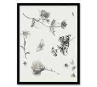 Artery8 Theo Van Hoytema Framed Wall Art Flowers Leaves And Butterfly Drawing - A4 Size
