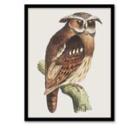 Artery8 Theo Van Hoytema Framed Wall Art Print Eagle Owl Perched On A Branch - A4 Size