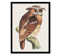 Artery8 Theo van Hoytema Framed Wall Art Print Eagle Owl Perched on a Branch in Brown | Size: A4 Artery8 Brown A4