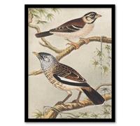 Artery8 Theo van Hoytema Framed Wall Art Print Two Birds on Tree Branches | Size: A4 Artery8 Multicolor A4