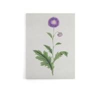 Artery8 Thistle Flower Canvas Wall Art Print Vintage Japanese Botanical in Purple | Size: W24" x H32" Artery8 Purple W24" x H32"