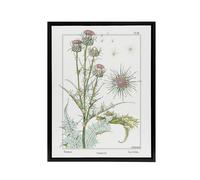 Artery8 Thistle Flower Framed Canvas Wall Art Print Vintage Floral Verneuil in White | Size: W18" x H24" Artery8 White W18" x H24"