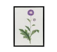 Artery8 Thistle Flower Framed Canvas Wall Art Print Vintage Japanese Botanical in Purple | Size: W12" x H16" Artery8 Purple W12" x H16"