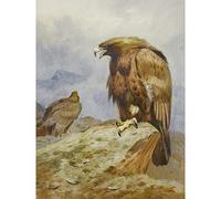 Artery8 Thorburn Pair Golden Eagles Bird Prey Painting Premium Wall Art Canvas Print 18X24 Inch