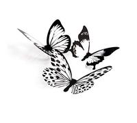 Artery8 Three Black White Butterflies Group Collage Photo Art Print Canvas Premium Wall Decor Poster Mural