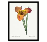 Artery8 Tiger Flower Botanical Redoute Vintage Framed Wall Art Print in White | Size: A4 Artery8 White A4