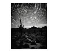 Artery8 Time Lapse Night Sky Star Trails Across The Night Sky Black White Desert Cactus Extra Large XL Unframed Wall Art Poster Print Artery8 Multicolor W24" x H32"