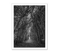 Artery8 Tree Tunnel Lane Atmospheric Black White Artwork Framed Wall Art Print 18X24 Inch