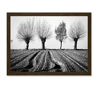 Trees Horizon Winter Field Black White A4 Artwork Framed Wall Art Print Artery8 Brown One Size