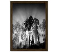 Artery8 Trees Light Fog Black White Moonlit Forest A4 Artwork Framed Wall Art Print