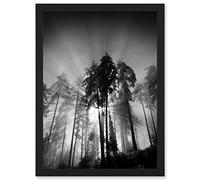 Artery8 Trees Light Fog Black White Moonlit Forest A4 Artwork Framed Wall Art Print