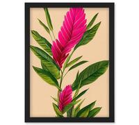 Wee Blue Coo Tropical Hawaiian Botanical Exotic Pink Floral illustration Artwork Framed Wall Art Print A4