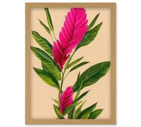 Wee Blue Coo Tropical Hawaiian Botanical Exotic Pink Floral illustration Artwork Framed Wall Art Print A4