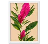 Wee Blue Coo Tropical Hawaiian Botanical Exotic Pink Floral illustration Artwork Framed Wall Art Print A4