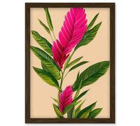 Wee Blue Coo Tropical Hawaiian Botanical Exotic Pink Floral illustration Artwork Framed Wall Art Print A4