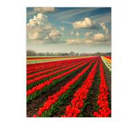 Artery8 Tulip Fields Blue Sky Painting Holland Modern Wall Art Print in Red | Size: W18" x H24" Artery8 Red W18" x H24"