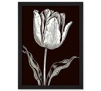 Artery8 Tulip Flower Black and White Contour Folk Art Artwork Framed Wall Art Print A4
