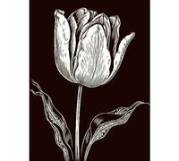 Artery8 Tulip Flower Black and White Contour Folk Art Extra Large XL Wall Art Poster Print