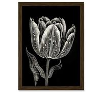 Artery8 Tulip Flower White on Black Blind Contour Folk Art Artwork Framed A3 Wall Art Print