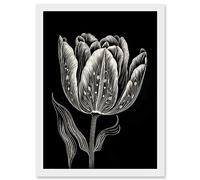 Artery8 Tulip Flower White on Black Blind Contour Folk Art Artwork Framed Wall Art Print A4