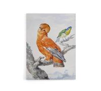 Artery8 Two Exotic Birds Watercolour Painting Schouman Canvas Wall Art Print in White | Size: W12" x H16" Artery8 White W12" x H16"