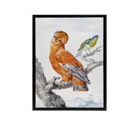 Artery8 Two Exotic Birds Watercolour Painting Schouman Framed Canvas Wall Art in White | Size: W18" x H24" Artery8 White W18" x H24"