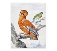 Artery8 Two Exotic Birds Watercolour Painting Schouman Wall Art Poster Print in White | Size: W18" x H24" Artery8 White W18" x H24"