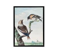 Artery8 Two Hawfinch Birds in Rural Landscape Schouman Framed Canvas Wall Art in Blue | Size: W24" x H32" Artery8 Blue W24" x H32"