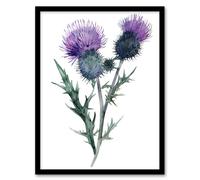 Two Scottish Thistle Flower Blooms Watercolour Framed Art Print Artery8 Purple A4