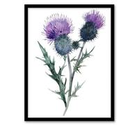 Artery8 Two Scottish Thistle Flower Blooms Watercolour Living Room Artwork Framed Wall Art Print 18X24 Inch