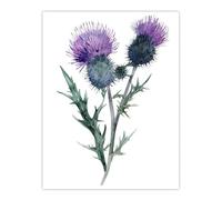 Artery8 Two Scottish Thistle Flower Blooms Watercolour Living Room Extra Large XL Wall Art Poster Print