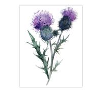 Artery8 Two Scottish Thistle Flower Blooms Watercolour Wall Art Print in Purple | Size: W12" x H16" Artery8 Purple W12" x H16"
