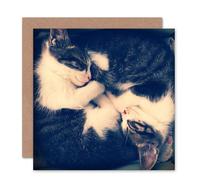 Artery8 Two Sleeping Kittens Yin Yang Cute Art Card Artery8 Multicolor