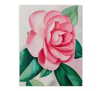 Artery8 Camelia Winter Rose Flower Watercolour Painting Wall Art Print in Pink | Size: W12" x H16" Artery8 Pink W12" x H16"