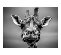Artery8 Unframed Wall Art Furlan Giraffe Head Face - 12X16 Inch