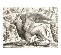 Artery8 Hollar Griffin Pineapple Butterflies Etching Unframed Wall Art Print Poster Home Decor Premium