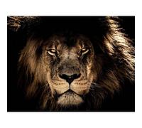 Artery8 Unframed Wall Art Male African Lion Face Cat - 12X16 Inch