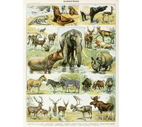 Artery8 Millot Encyclopedia Page Mammals Rhino Hippo Unframed Wall Art Print Poster Home Decor Premium