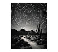 Artery8 Moon & Star Time Lapse Trails Stars Tracing Their Journey Across The Sky Desert Cactus Unframed Wall Art Print Poster Home Decor Premium Artery8 Multicolor W12" x H16"