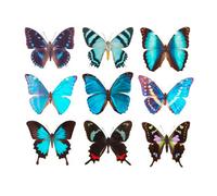 Artery8 Nine types Butterflies Butterfly Collection Various Colourful Unframed Wall Art Print Poster Home Decor Premium