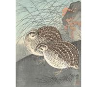 Artery8 Ohara Koson Two Quail Full Moon Japanese Painting Unframed Wall Art Print Poster Home Decor Premium