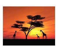 Artery8 Unframed Wall Art Photo Composition African Sun Silhouette Giraffe - 12X16 Inch