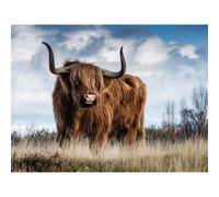 Artery8 Unframed Wall Art Scottish Highland Cow Coo - 12X16 Inch