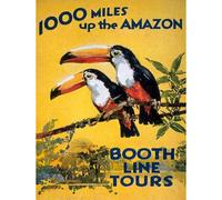 Artery8 Unframed Wall Art Toucan River Brazil South America Jungle Rain Forest Vintage - 12X16 Inch